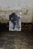 Melting 002, intgeratie, (1m-1,50), photo on dibont, f1 