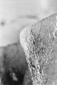 Melting 007, photo on dibont 