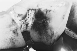 Melting 009, photo on dibont 