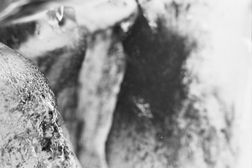 Melting 025, photo on dibont 