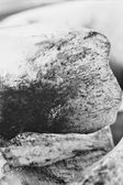 Melting 026, photo on dibont 