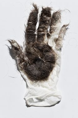 helping hand 011 