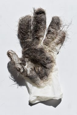 helping hand 012