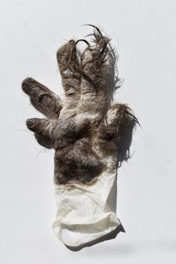 helping hand 025 
