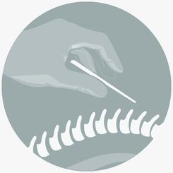 Myofasciale kinesitherapie