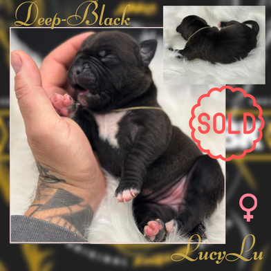 LucyLU