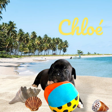 Chloé