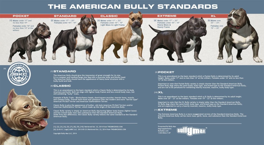 Xxl american bully kennels on sale