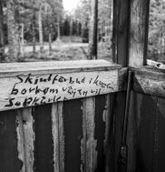 Utsikt från ett älgpass