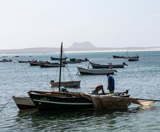 60-sal-rei_DSC_1960