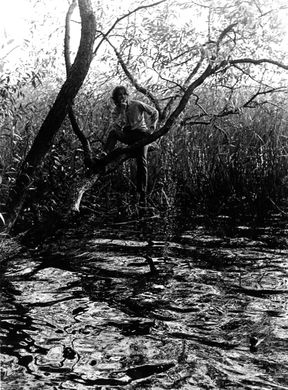 Mälaren (1968)