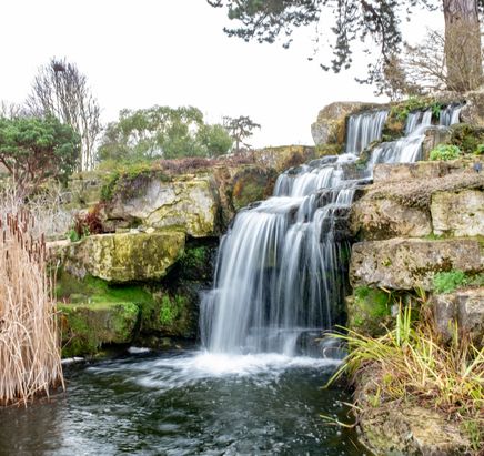 Kew garden