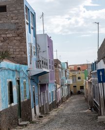 sal-rei_DSC_1892