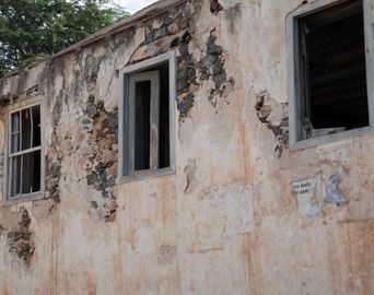sal-rei_DSC_1903