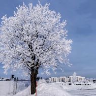Södra hamn, Luleå från Malmhamnsvägen