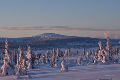 Vinterfjell