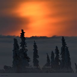 Solnedgang i vinterlandskap