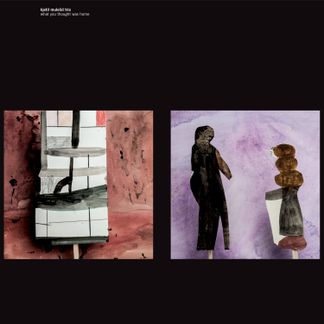 Kjetil Mulelid Trio - What You Thought Was Home 
