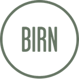 BIRN_logo11_navn_CMYK