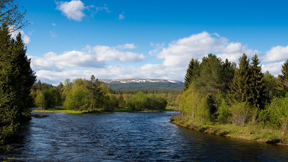 Fulufjellet_nat_park_190601_0015e