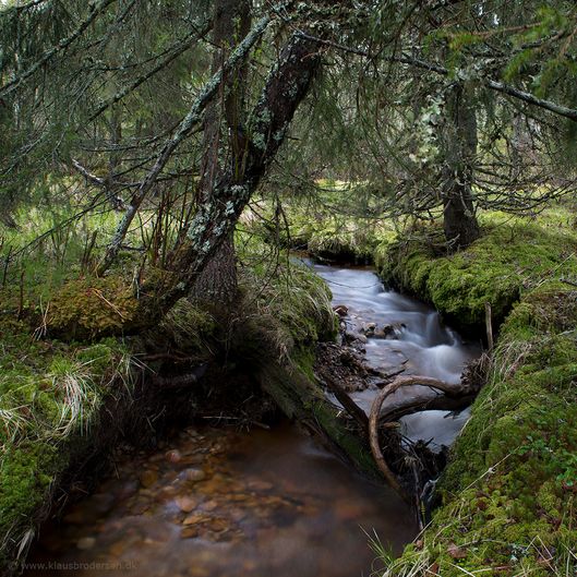 Stoetfjellet_190601_0301e