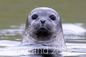 Iceland 2024