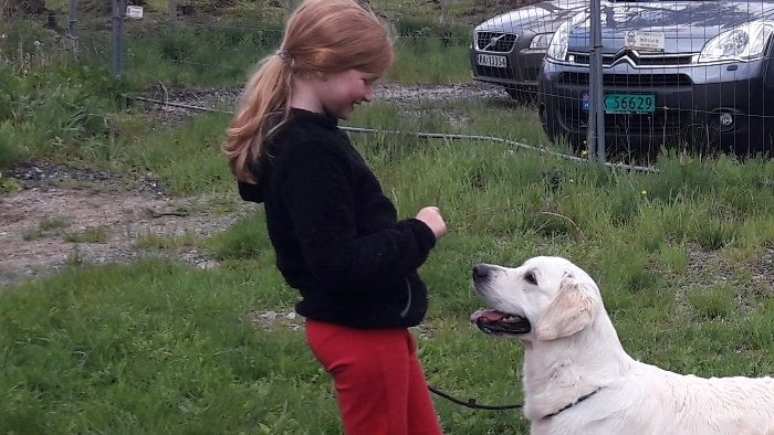 Kine og Bella på utstillings trening.
