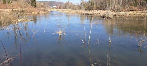 01_20250309_131416 (1024x462)