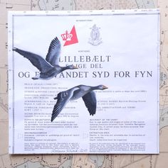 Grågæs på tekstboks