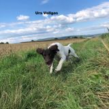 U-Wurf Urs Vollgas