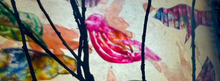 571152313_1419198770208937_3743342241034640555_n