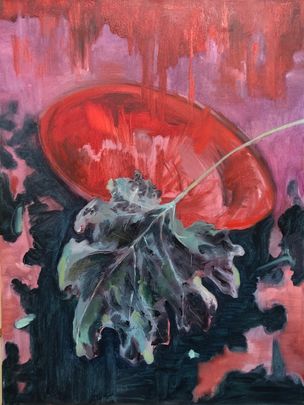 BK1,60x80cm