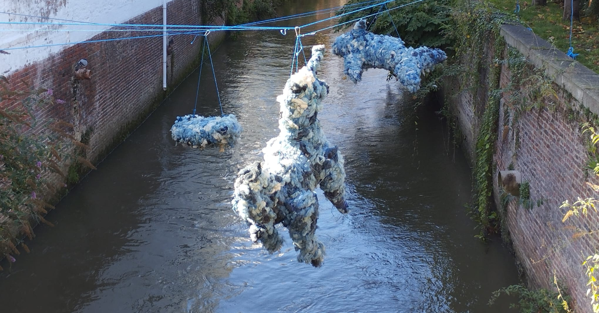 WhatsApp Image 2024-10-02 at 09.17.02