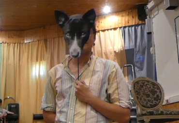 dog