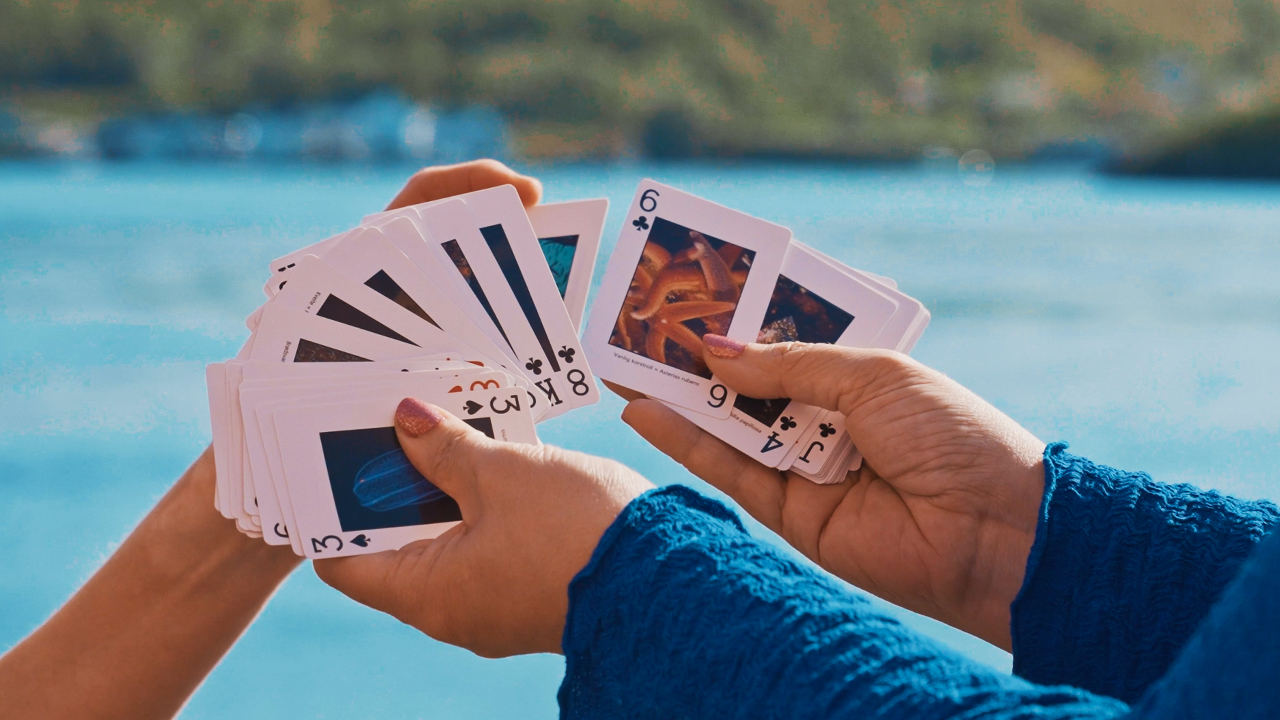 NORD&NE kortstokk reklame