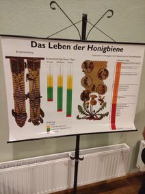 Vortrag vom Imker