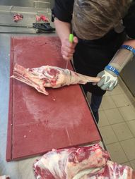 IMG_20220328_173306