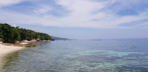 At Oslob Whale Shark Watching