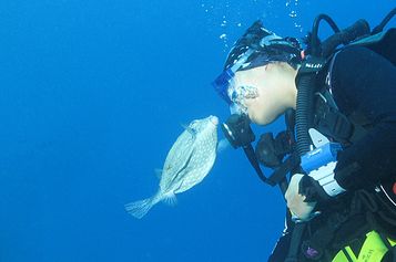 Puffer love