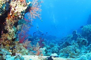 Waterscape with divers