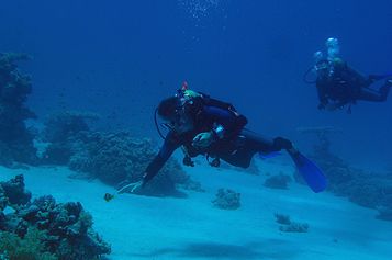 Catching Nemo