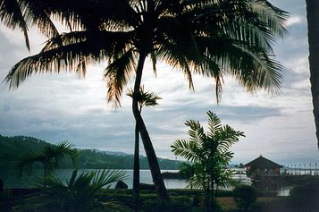 Room with a view