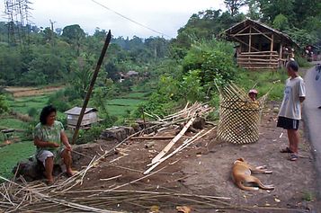 The basket weaver