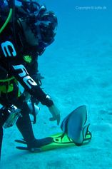 Lene and the Batfish