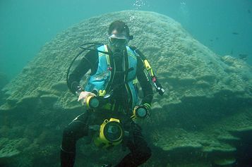 Video ride and Worm rock