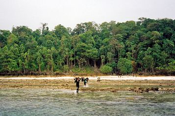 On our way to the Jellyfish Lake