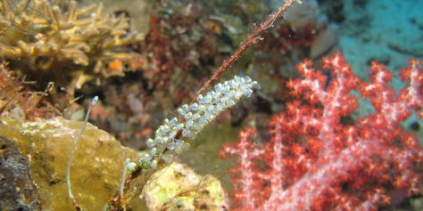 IMG_0939f