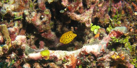 IMG_0950c