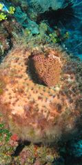 IMG_0969c