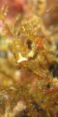 IMG_1105b